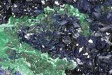 Huge, Azurite Crystal and Malachite Cluster - China #205164-2